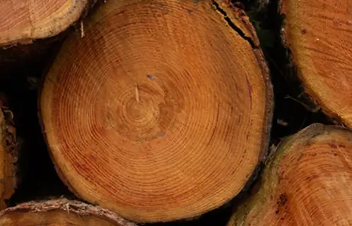 Sustainable materials